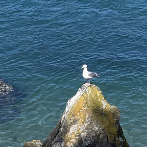 Meet your Posher, Claire